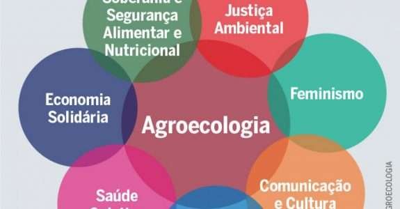 Agroecologia: alguns conceitos e princípios