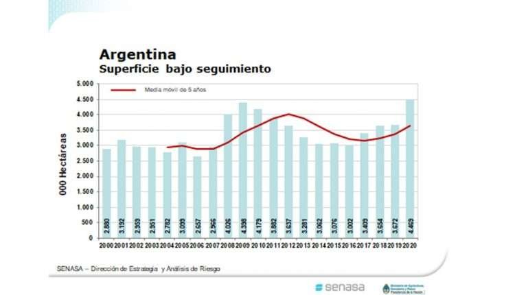Argentina-superficie-orgânica