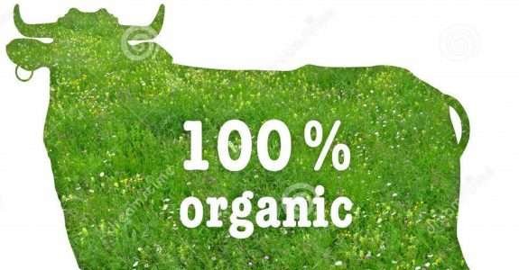 Carne orgânica tem menos risco de contaminação por bactérias resistentes