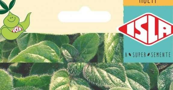 Sementes Orgânicas: novas variedades são lançadas