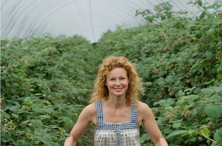 Yara adquire finlandesa Ecolan Oy para expandir negócio de produto orgânico