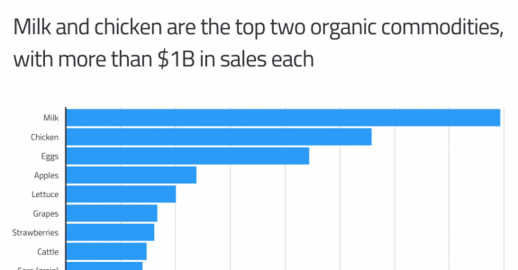 Vendas de alimentos orgânicos nos Estados Unidos ultrapassam US$ 60 bilhões em 2022