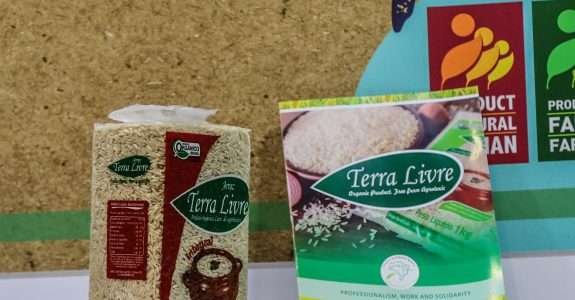 Assentados da reforma agraria: maiores produtores do arroz orgânico