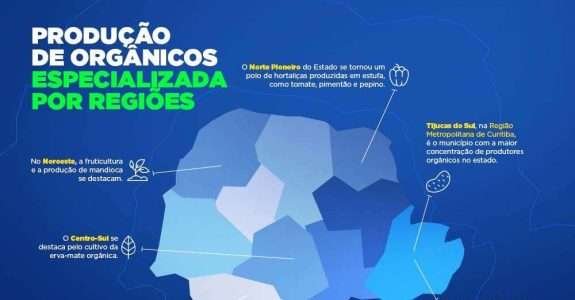Líder nacional em alimentos orgânicos, Paraná investe para ampliar produção e consumo
