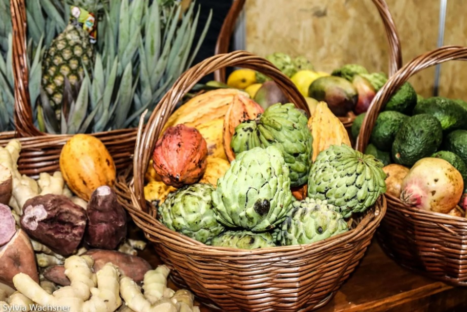 Agroecológicos e orgânicos: qual a diferença? - Centro de Inteligência ...