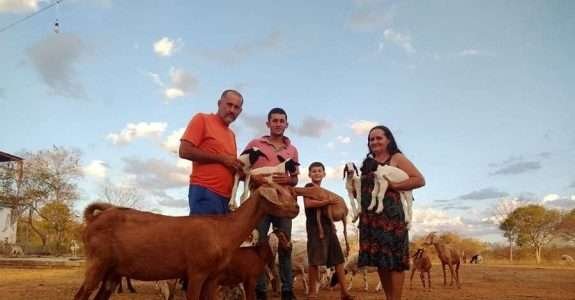 Agricultor em transição agroecológica eleva produção bruta e valor agregado