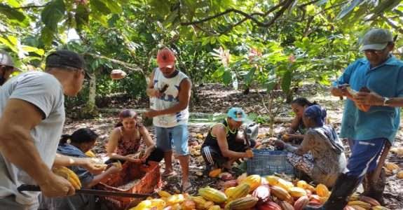 ESG no campo: o futuro das cadeias produtivas