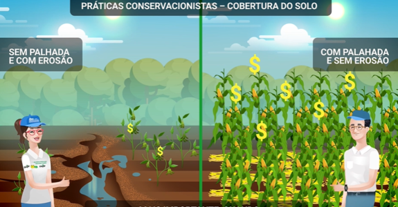 Cobertura Vegetal do Solo nas Lavouras