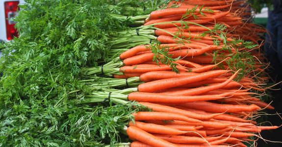 Colégio Agrícola de Umuarama é primeiro a obter certificação orgânica no Paraná