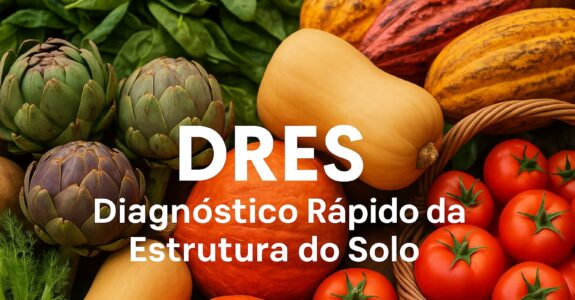 DRES da Embrapa: Avalie e transforme a estrutura do solo em poucos passos