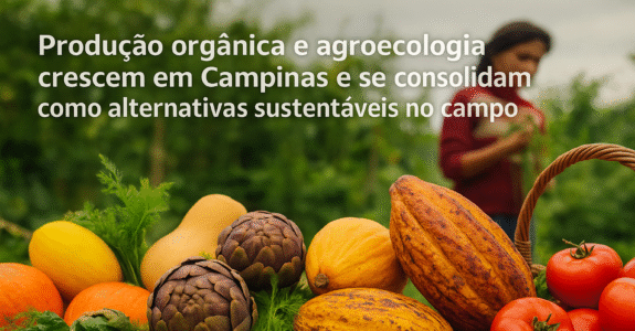 Produção orgânica e agroecologia crescem em Campinas e se consolidam como alternativas sustentáveis no campo