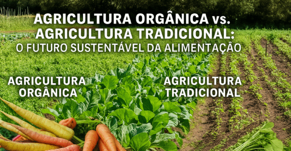 Agricultura Orgânica vs. Agricultura Tradicional: O Futuro Sustentável da Alimentação
