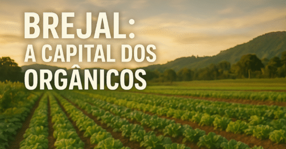 Brejal: A Capital dos Orgânicos
