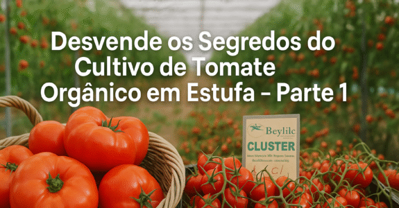 Desvende os Segredos do Cultivo de Tomate Orgânico em Estufa