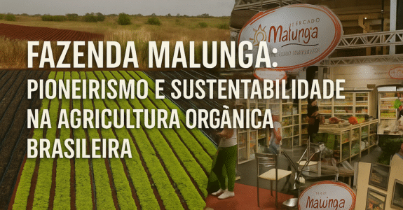 Fazenda Malunga: Pioneirismo e Sustentabilidade na Agricultura Orgânica Brasileira