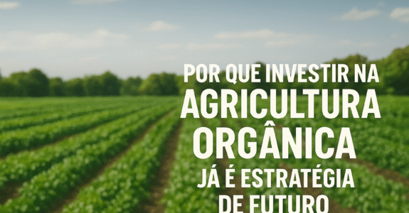 Por que investir na agricultura orgânica já é estratégia de futuro
