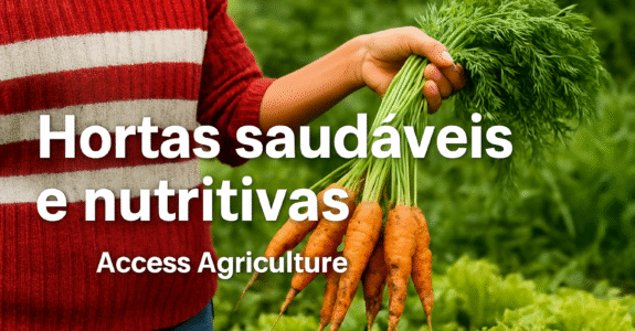 Hortas saudáveis e nutritivas – Access Agriculture