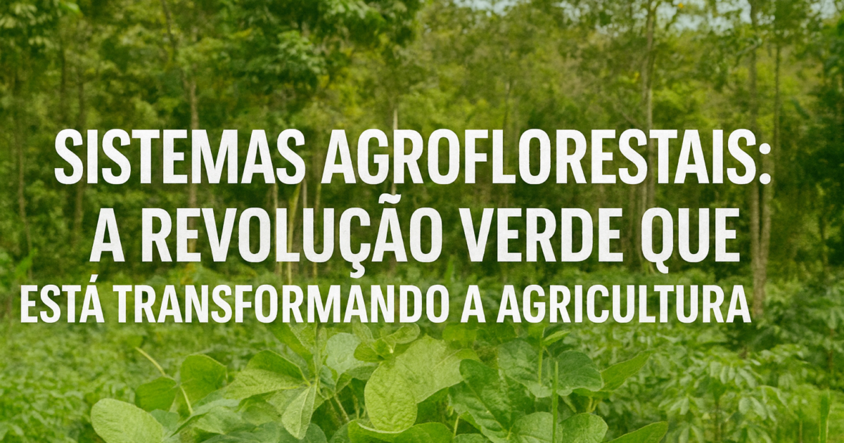 Sistemas Agroflorestais: A Revolução Verde Que Está Transformando a ...