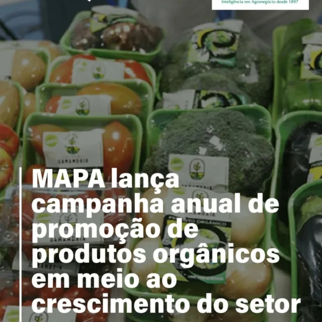#Repost @snaagricultura
...
🌱 MAPA lança campanha anual de promoção de produtos orgânicos em meio ao crescimento do setor 🌍 O Ministério da Agricultura e Pecuária (MAPA) deu início à XXI Campanha Anual de Promoção do Alimento Orgânico, com o tema “Produtos Orgânicos: saúde e vida”.

 A ação visa conscientizar a população sobre os benefícios desses alimentos, seus métodos de produção e seu papel na preservação ambiental e no fortalecimento da agricultura familiar. 

A iniciativa conta com o engajamento das Comissões de Produção Orgânica (CPOrg) em todo o país, que promovem atividades como feiras, mesas de diálogo e eventos educativos. 

A diretora da SNA, Sylvia Wachsner, que também coordena o Centro de Inteligência em Orgânicos e integra a CPOrg-RJ, destaca o papel fundamental da campanha ao longo dos anos na valorização dos pequenos produtores e na expansão do acesso aos orgânicos. Um dos avanços recentes citados foi a inclusão do setor no Plano Safra, com incentivos específicos. 

Segundo relatório do Observatório do Brasil Orgânico, a produção orgânica no Brasil cresceu 150% desde 2013, alcançando mais de 25 mil propriedades. 

📲 Quer saber mais? Acesse a matéria completa no site da SNA — link na bio! 

🖊️ Por Larissa Machado | Com informações adicionais do MAPA #Orgânicos #SustentabilidadeNoCampo #AgroResponsável