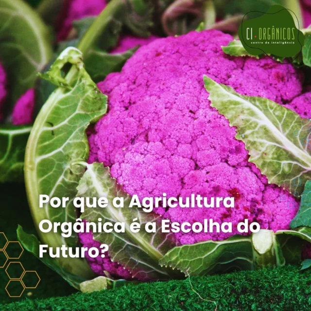 Nesse cenário, a agricultura orgânica surge como uma solução inovadora e responsável. Ela valoriza práticas que respeitam os ciclos naturais, evitando o uso de químicos nocivos e priorizando a fertilidade do solo por meio de compostagem, rotação de culturas e proteção dos recursos naturais. Além disso, promove a biodiversidade, fortalecendo ecossistemas e reduzindo a contaminação de águas e alimentos. #produçãoorgânica #agriculturaorganicacertificada #agriculturaorgânica #agricultoresorgânicos #produtoresorgânicos Nossos parceiros: @snash.inovacao @snadigital @snaagricultura @revistaalavoura.sna @animalbusinessbrasil